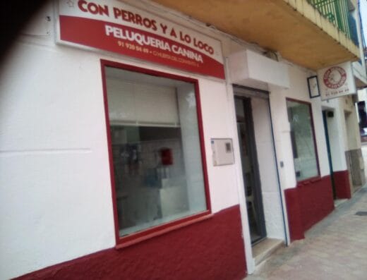 CON PERROS Y A LO LOCO