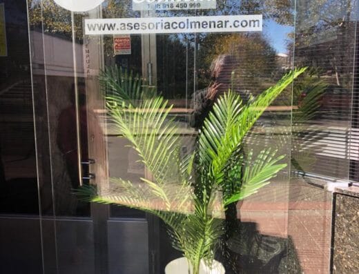 ASESORÍA COLMENAR