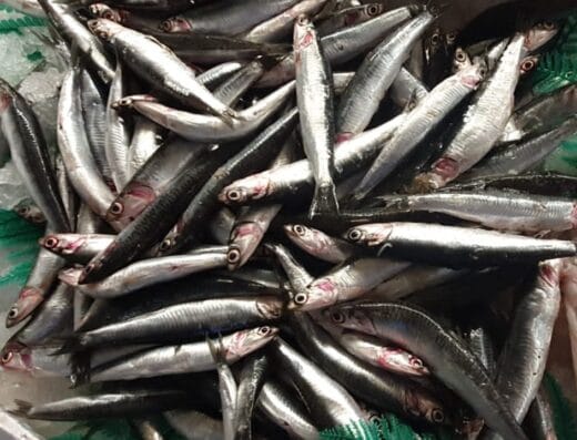 Pescaderías Artesanas