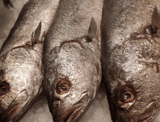 PESCADERÍAS ARTESANAS